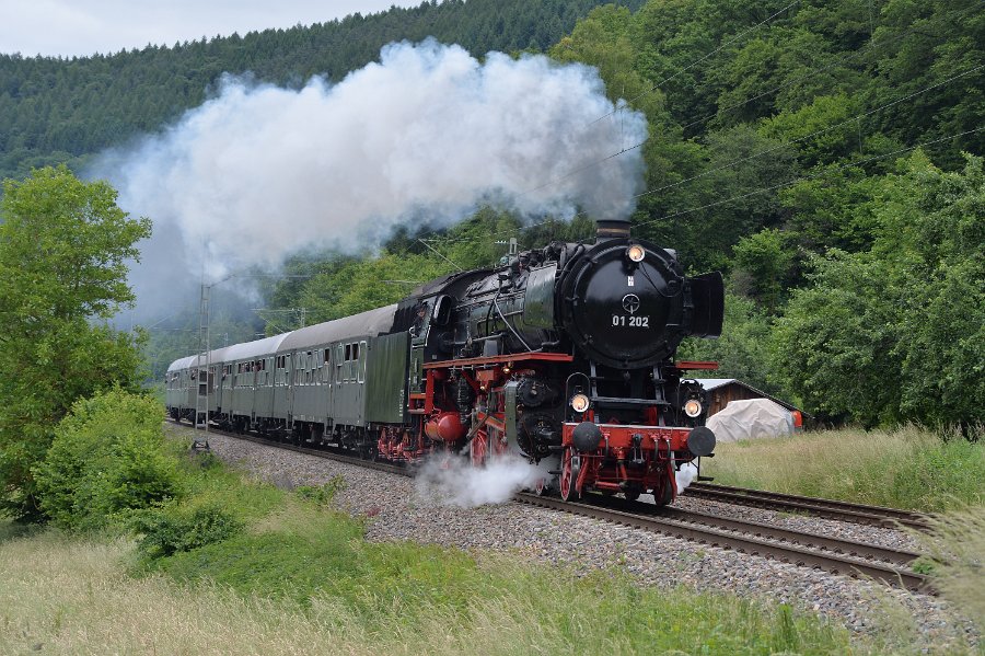 DB 01 202 in Neustadt Bild 01